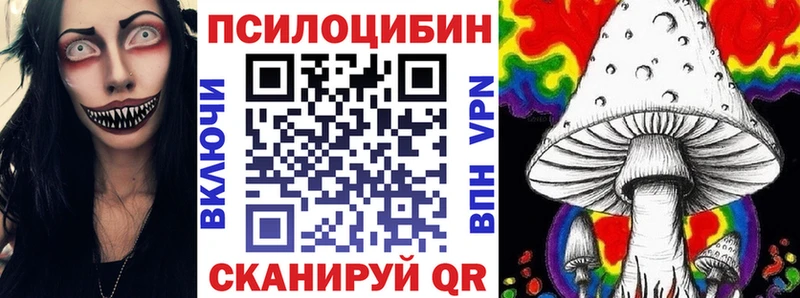 где найти наркотики  Медынь  Галлюциногенные грибы мицелий 